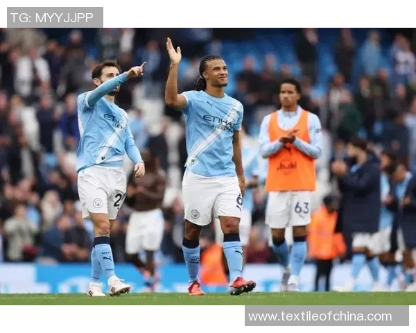 曼城欲引进国际米兰中场博努奇，转会费或高达3500万欧元