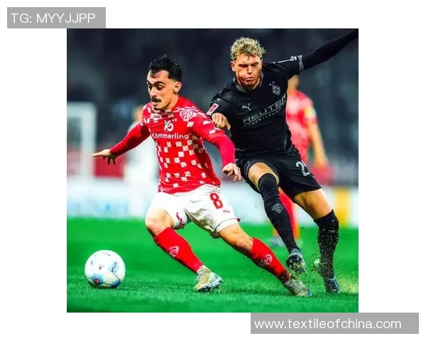 美因茨主场继续连胜，德甲联赛保持不败势头